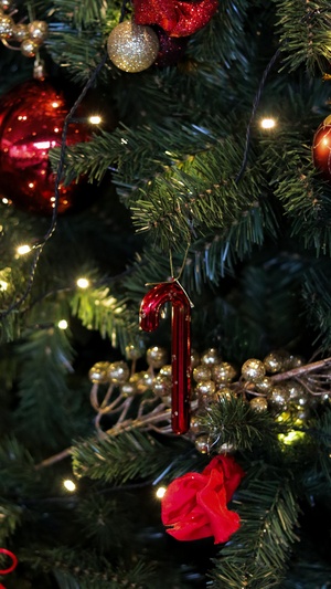 Versierde kerstboom met lichtjes en ornamenten